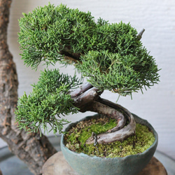 8bda0b1fa07ac7ec1f1990697fd466