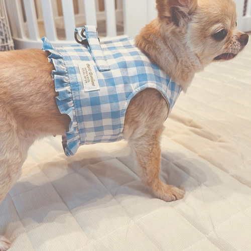 わんちゃん用 ハーネス 犬用 フリルハーネス Sサイズ ギンガムチェック