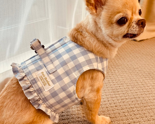 ★お求めやすく価格改定★ ハンドメイド♡犬服♡1点物】フリフリワンピ(バックル付)Sサイズ 犬服・アクセサリー