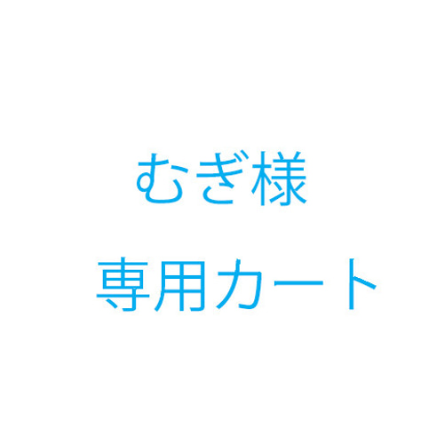 むぎこ様　オーダー品 むぎ様オーダー品 雑貨・その他 KICO 通販 17776061｜Creema(クリーマ)