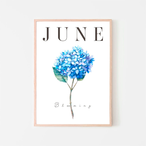 JUNE あじさい アートポスター | 花 Blooming 梅雨 フラワー ブルー系