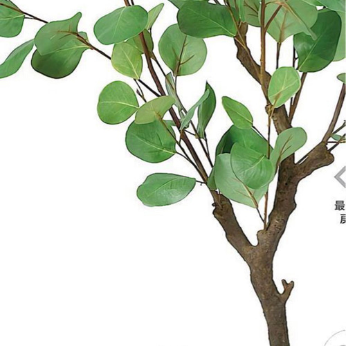 光触媒 人工観葉植物 ウォールグリーン フェイクグリーン ユーカリ118