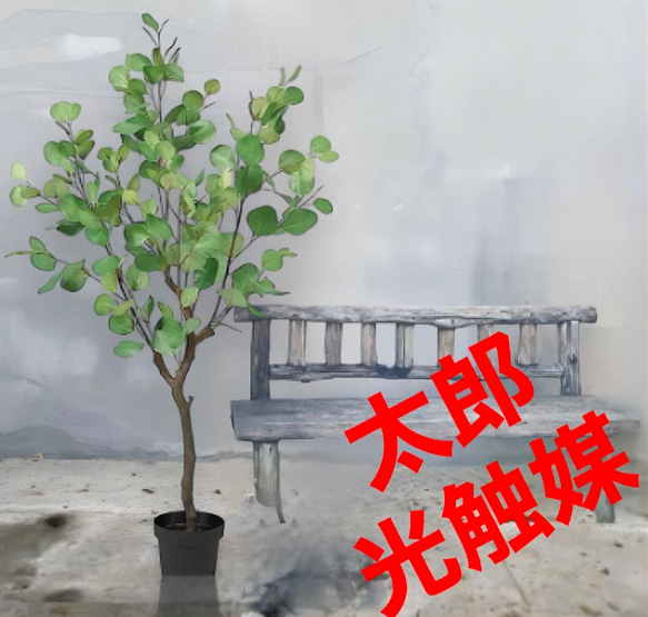 光触媒 人工観葉植物 ウォールグリーン フェイクグリーン ユーカリ118