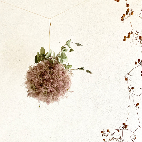 採れたてスモークツリーのフライングボール フライングリース リース  