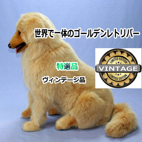 ぬいぐるみ ゴールデンレトリバー 世界で一体のゴールデンレトリバー