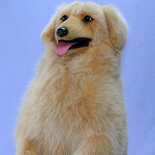 ぬいぐるみ ゴールデンレトリバー 世界で一体のゴールデンレトリバー