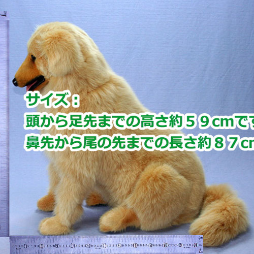 ぬいぐるみ ゴールデンレトリバー 世界で一体のゴールデンレトリバー