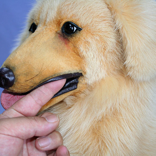 ぬいぐるみ ゴールデンレトリバー 世界で一体のゴールデンレトリバー