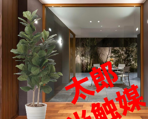 光触媒　人工観葉植物　ウォールグリーン　フェイクグリーン　カシワバゴム160 光触媒 人工観葉植物 ウォールグリーン フェイクグリーン