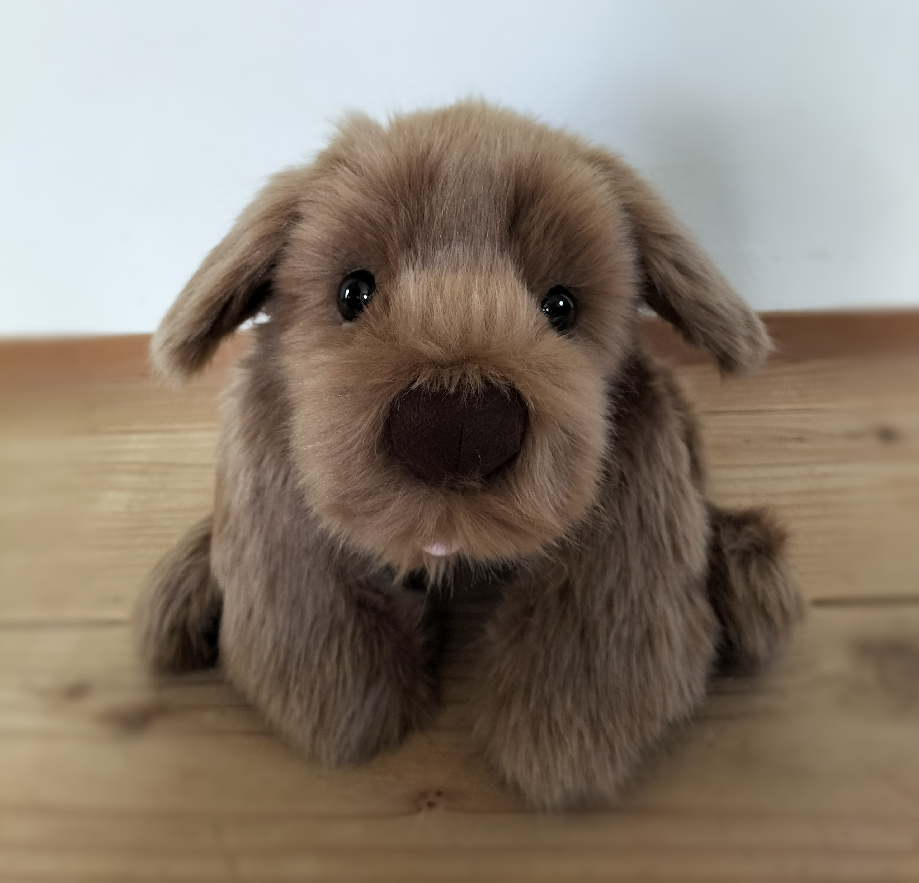 感動する抱き心地。重さ約1500グラム。命の重みを感じるぬいぐるみ・キャメル（ミニタイプ）/プードル/ダックス/リアル