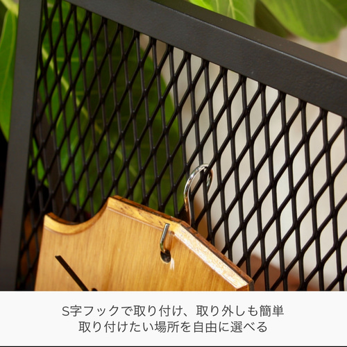 PLANT STAND』ビカクシダコウモリラン専用スタンド 植物スタンド