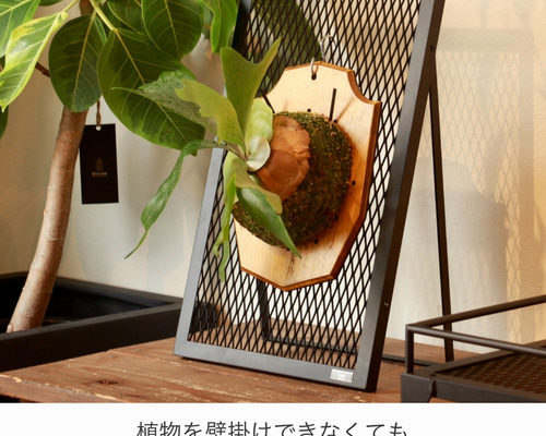 PLANT STAND』ビカクシダ コウモリラン 専用スタンド 植物
