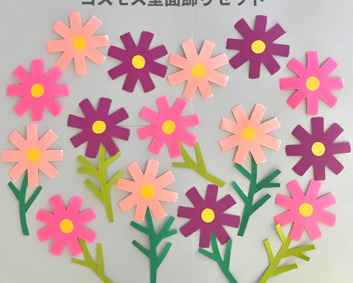 コスモス 壁面 9月 秋 敬老の日 保育 施設 秋桜 その他素材 minju 通販