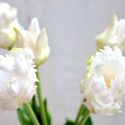 【リアル造花】パーロット咲きチューリップ5輪のナチュラルブーケ【ホワイト】 10枚目の画像