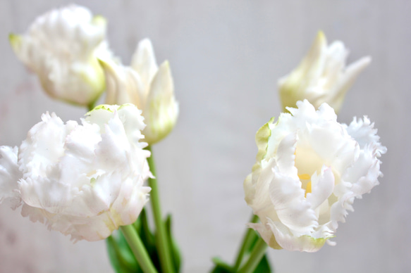 【リアル造花】パーロット咲きチューリップ5輪のナチュラルブーケ【ホワイト】 10枚目の画像