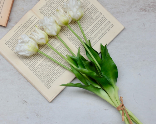 6f05cf92e78ed2fc0bfdf239cd2863