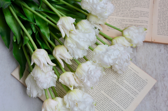 【リアル造花】パーロット咲きチューリップ5輪のナチュラルブーケ【ホワイト】 6枚目の画像
