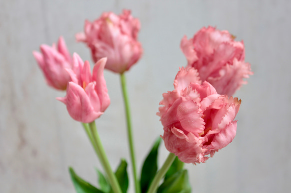 【リアル造花】パーロット咲きチューリップ5本ナチュラルブーケ【ピンク】 4枚目の画像