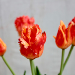 【リアルな触り心地】まるで生花のような瑞々しさ|パーロットチューリップブーケ|アーティフィシャルフラワー【オレンジ】 6枚目の画像