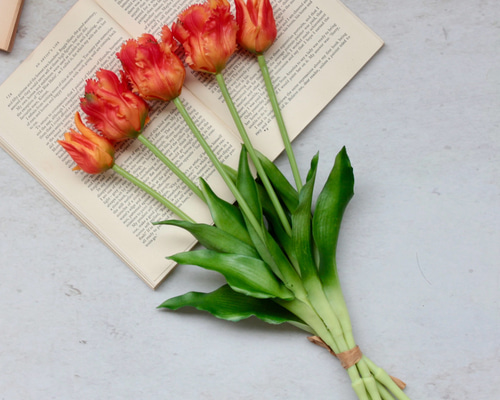 b58245c997f0daee6f3fdfb766cabd