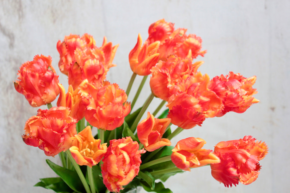 【リアルな触り心地】まるで生花のような瑞々しさ|パーロットチューリップブーケ|アーティフィシャルフラワー【オレンジ】 7枚目の画像