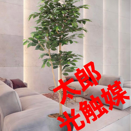 光触媒人工観葉植物フェイクグリーンデザインベンジャミン1.6