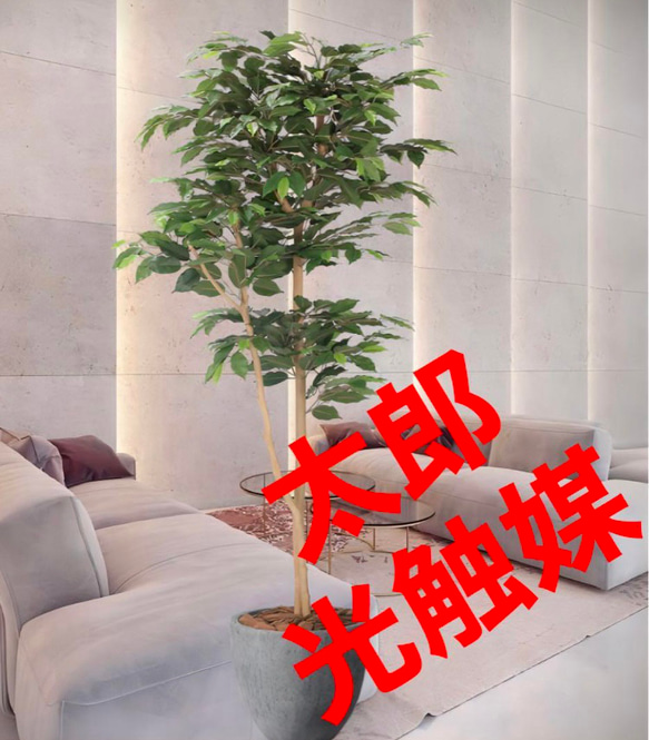 光触媒 人工観葉植物 フェイクグリーン デザインベンジャミン1.6