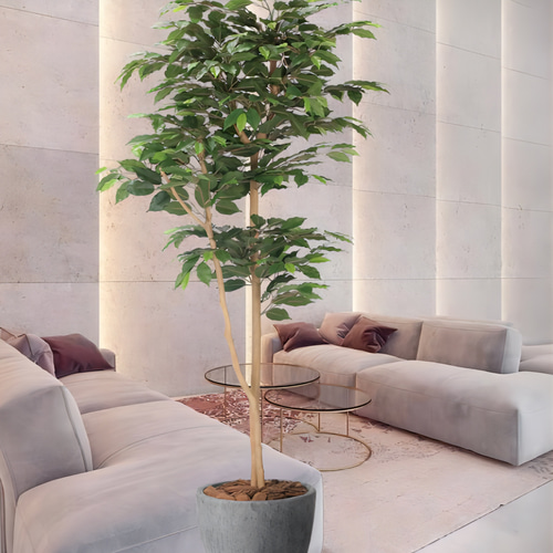 光触媒人工観葉植物フェイクグリーンデザインベンジャミン1.6