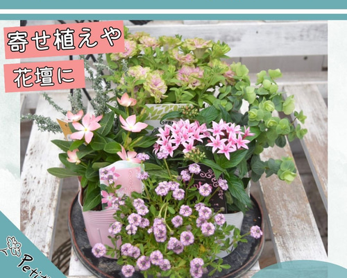 トルソー　インテリア雑貨　ガーデニング雑貨　ギャザリング　寄せ植え ヴィンテージブックB-4 ブック型植木鉢 アンティーク調