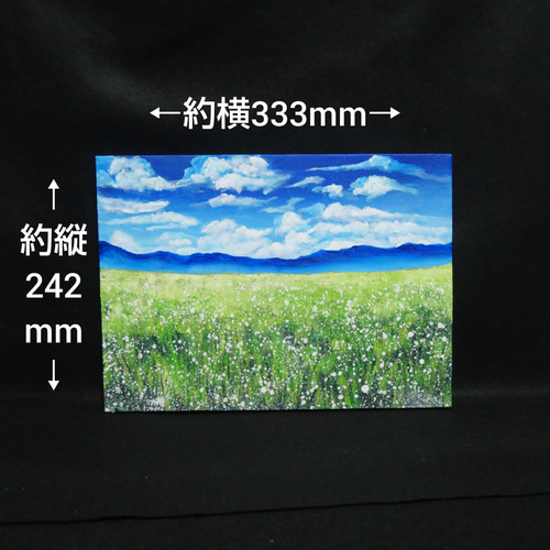 油絵 油彩 油彩画 絵 絵画 【草原に咲く白い花】 絵画 HR 通販 油絵 油彩 油彩画 絵 絵画 【草原に咲く白い花】 絵画 HR 通販