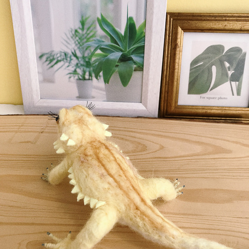 お目々パッチリ 羊毛フェルトでフトアゴヒゲトカゲ 羊毛フェルト 羊毛