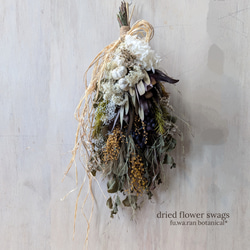 専用＊リューカデンドロン  ナチュラル　ドライフラワースワッグ リューカデンドロン ナチュラル ドライフラワースワッグ スワッグ fu