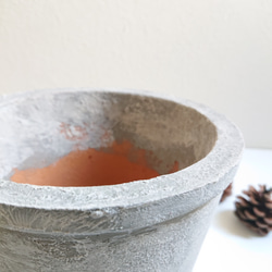 ●数量限定●新作●　希少　大きめ　美樹形　”ティーツリー　レプトスペルマム　カッパーグロウ　鉢/受け皿セット”　観葉植物 11枚目の画像