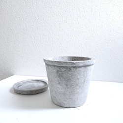 ●数量限定●新作●　希少　大きめ　美樹形　”ティーツリー　レプトスペルマム　カッパーグロウ　鉢/受け皿セット”　観葉植物 9枚目の画像