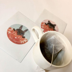 カフェインレスコーヒーバッグ（ティーパックタイプ）7袋 5枚目の画像