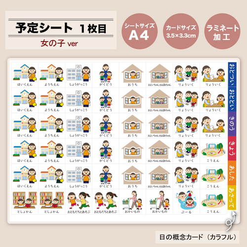 週間カレンダー 女の子用 絵カード144枚分 知育 保育 療育 教材 週間