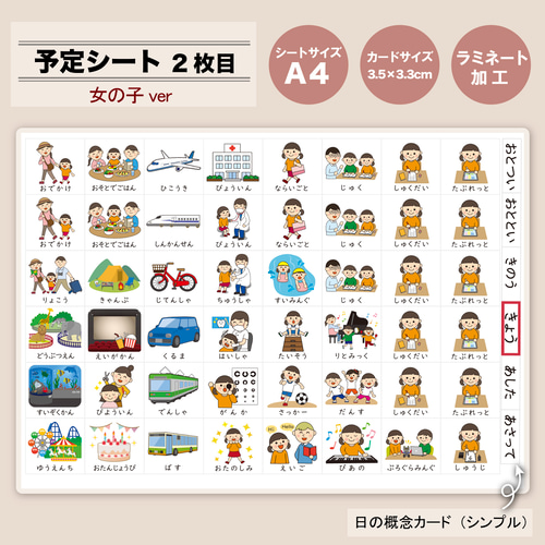 週間カレンダー 女の子用 絵カード144枚分 知育 保育 療育 教材 週間