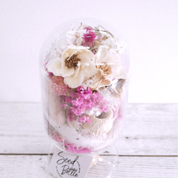 シードボトルのドライフラワーアレンジ ドライフラワー Yamashita 通販