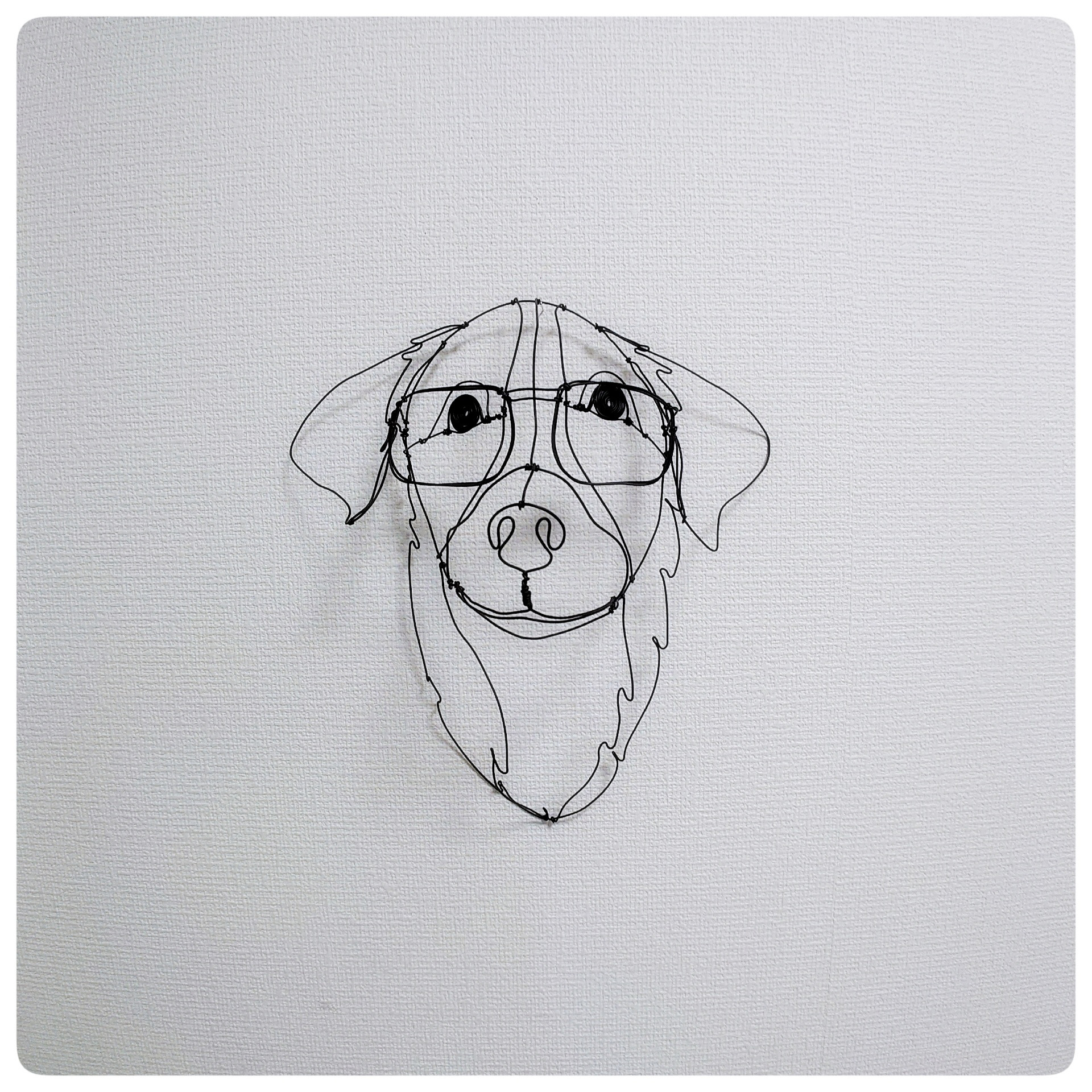 ワイヤーアート　メガネのゴールデンレトリーバーさん        Ω