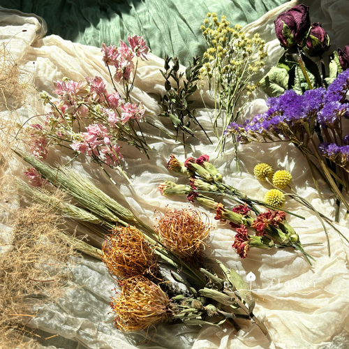 ドライフラワー 素材 花材 花材セット 訳あり ドライフラワー n flower