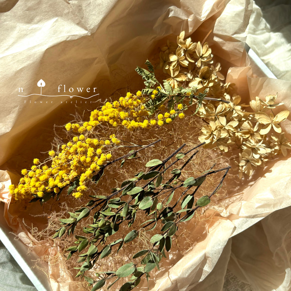 ドライフラワー 素材 花材 花材セット 訳あり ドライフラワー n flower 