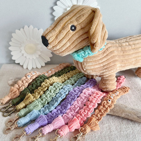 ♡ポポ子さま専用♡ トリミングチョーカー ♡ポポ子さま専用♡ トリミングチョーカー 犬 トリミング