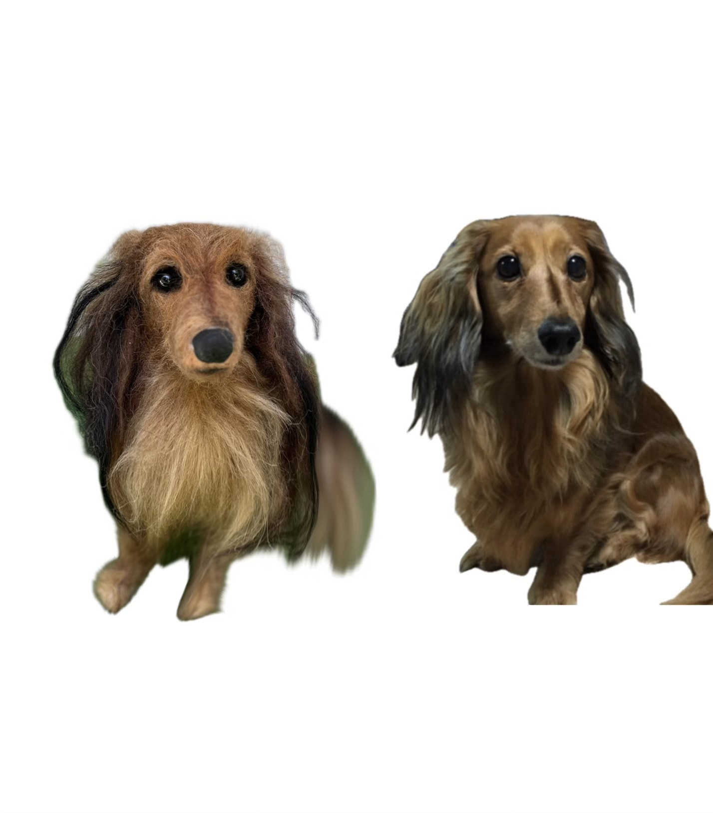 愛犬 オーダー　ダックス 世界でだった一つ♡羊毛フェルト　犬　ウチの子みたい ♡イニシャルネックレス付き