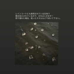  第8張的照片