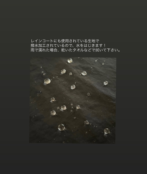  第8張的照片