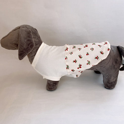 完成品】犬服 ハンドメイド DMサイズミニチュアダックス