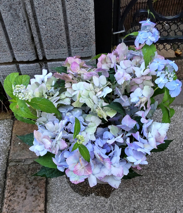 のの★薔薇と紫陽花　最高級綿100%セミダブル　クイーン仕立て直し のの様専用☆薔薇と紫陽花 最高級綿100%セミダブル クイーン