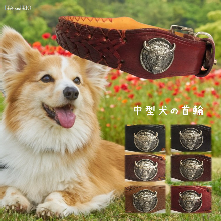 首輪 カラー バイソン 編込ベルト 中型犬 レザー 革製 散歩 犬 本格 R14 R15 R16 R17 R18 R20