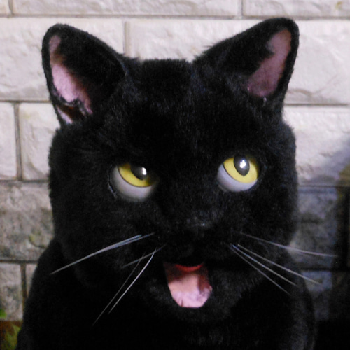 きゃばんねこ】 黒猫のすがたをしたリアルな実物大猫型カバン 【ハ-1