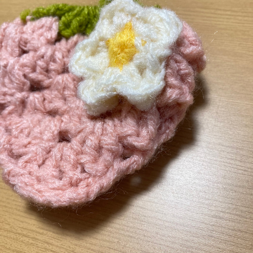 かわいい♡いちごのアクリルたわし（選べる2種セット） 毛糸 よん 通販